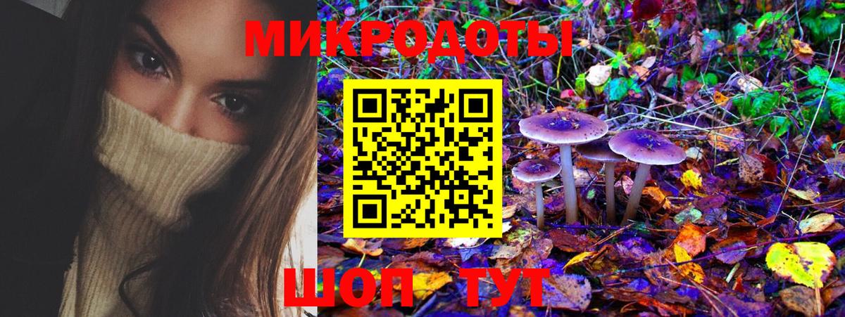 Дзержинский  Псилоцибиновые грибы мухоморы  Вход с VPN 