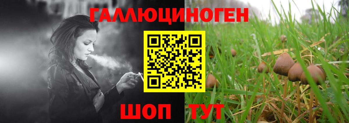 Псилоцибиновые грибы GOLDEN TEACHER Дзержинский
