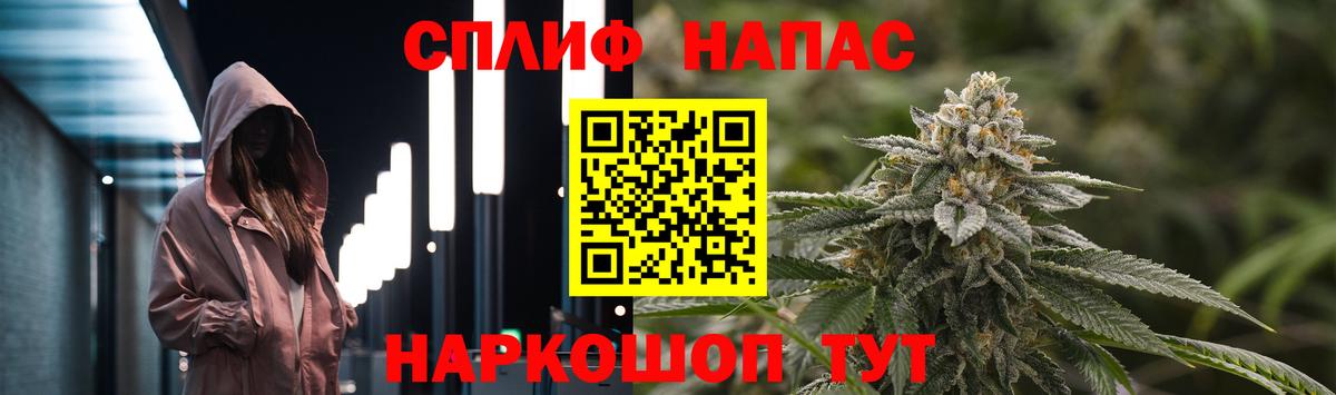 Каннабис сатива Дзержинский